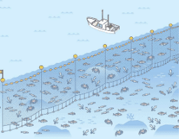 大樂透策略-大海捕魚法